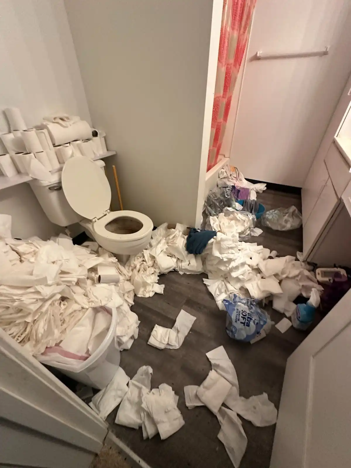 Before: Bathroom & Household Cleanout