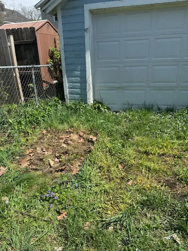 After: Yard & Outdoor Debris Removal