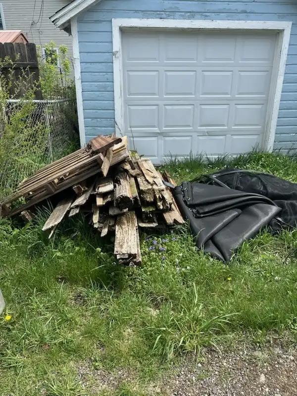 Before: Yard & Outdoor Debris Removal